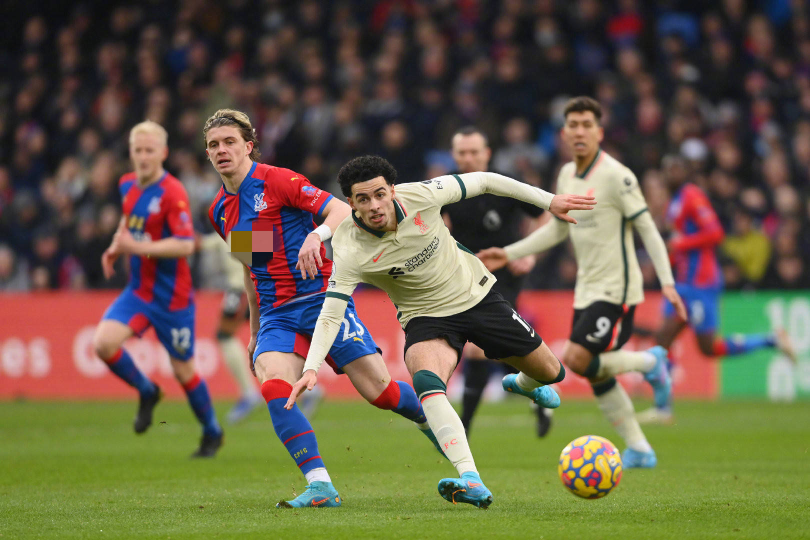 多球迷的不 多球迷的不